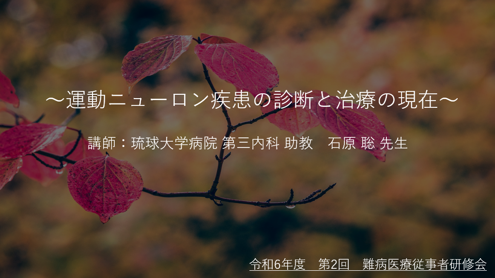 【ご報告】令和6年度　第1回難病医療従事者研修会／連携室の連携＠沖縄